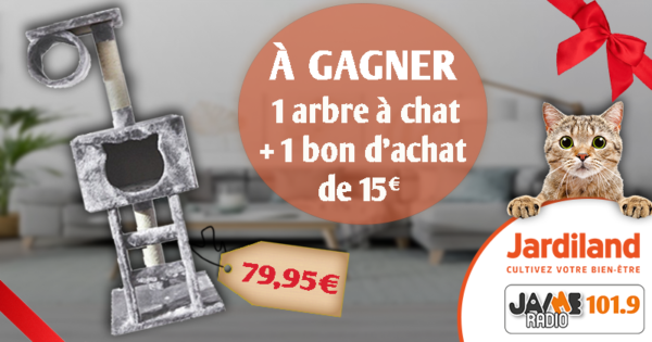 Cette Semaine Gagnez Votre Arbre A Chat Et 15 En Bon D Achat Chez Jardiland A Lanester Jaimeradio